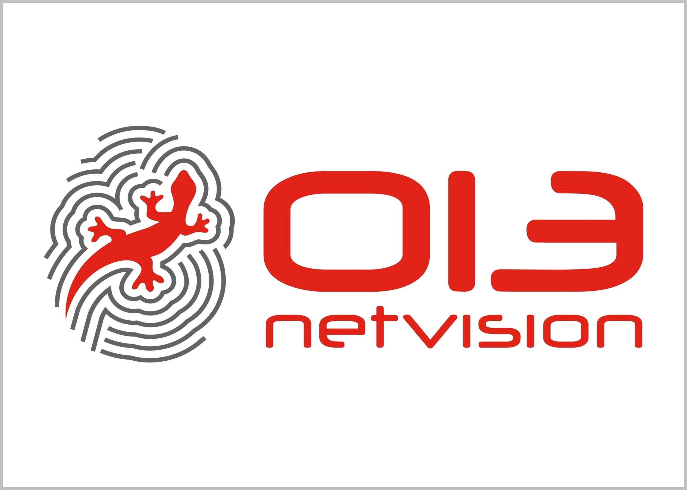 013 netvision logo