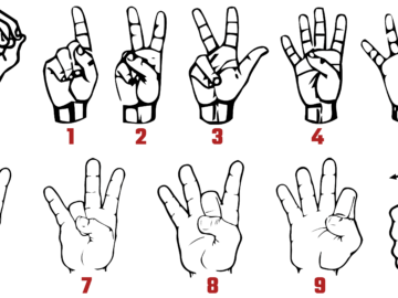 ASL Alphabet Numbers