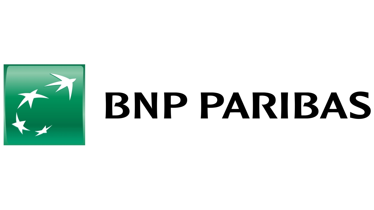 Bnp paribas sign 2009 present