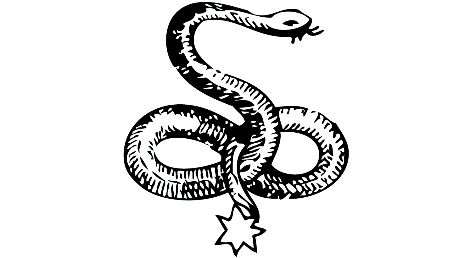 Celtic snake logo