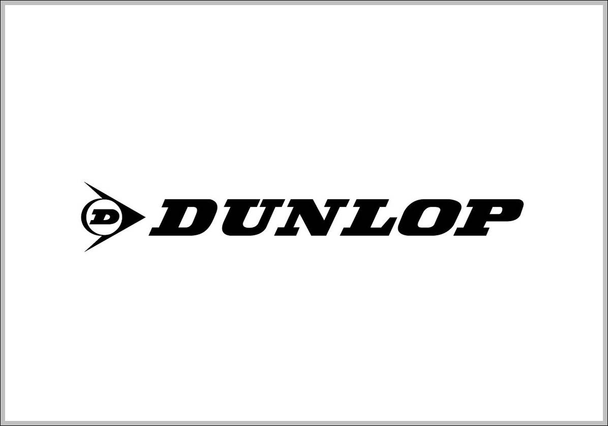 Dunlop Sport logo