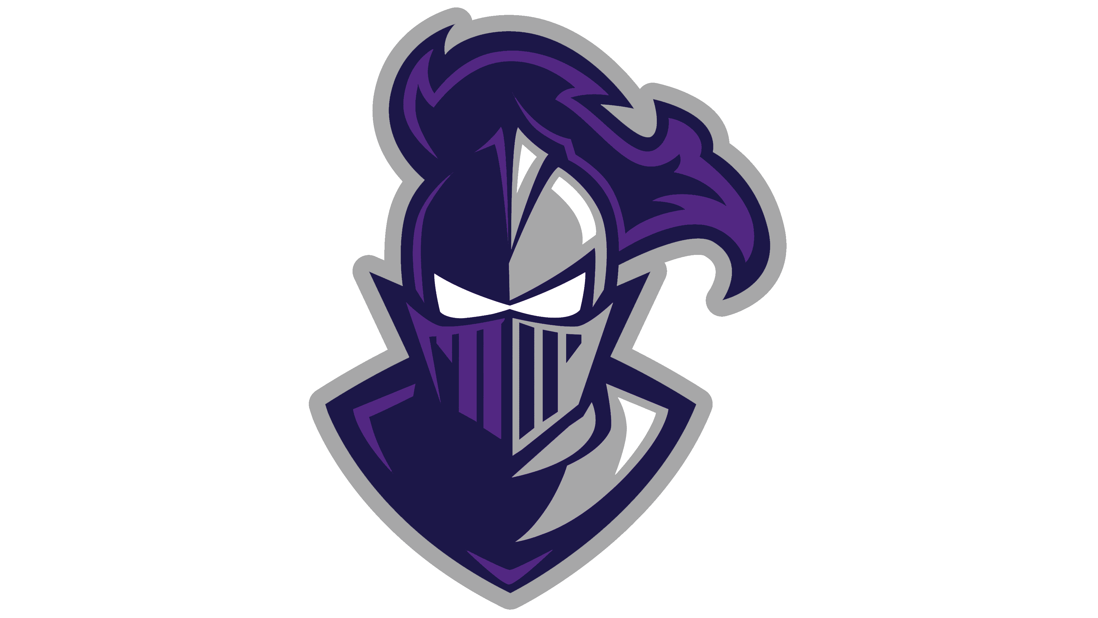 Furman Paladins Football Logo