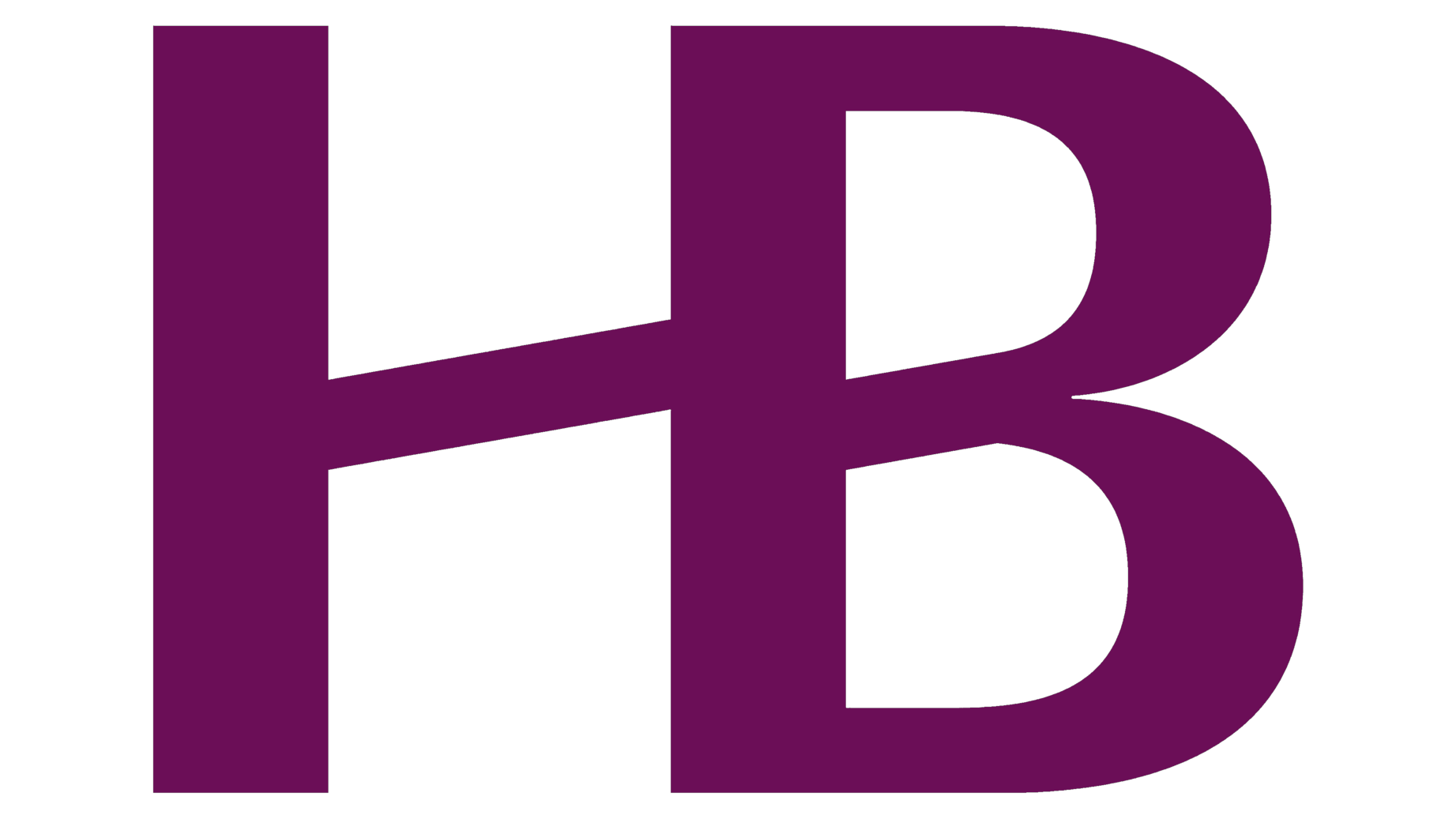Haynes boone logo