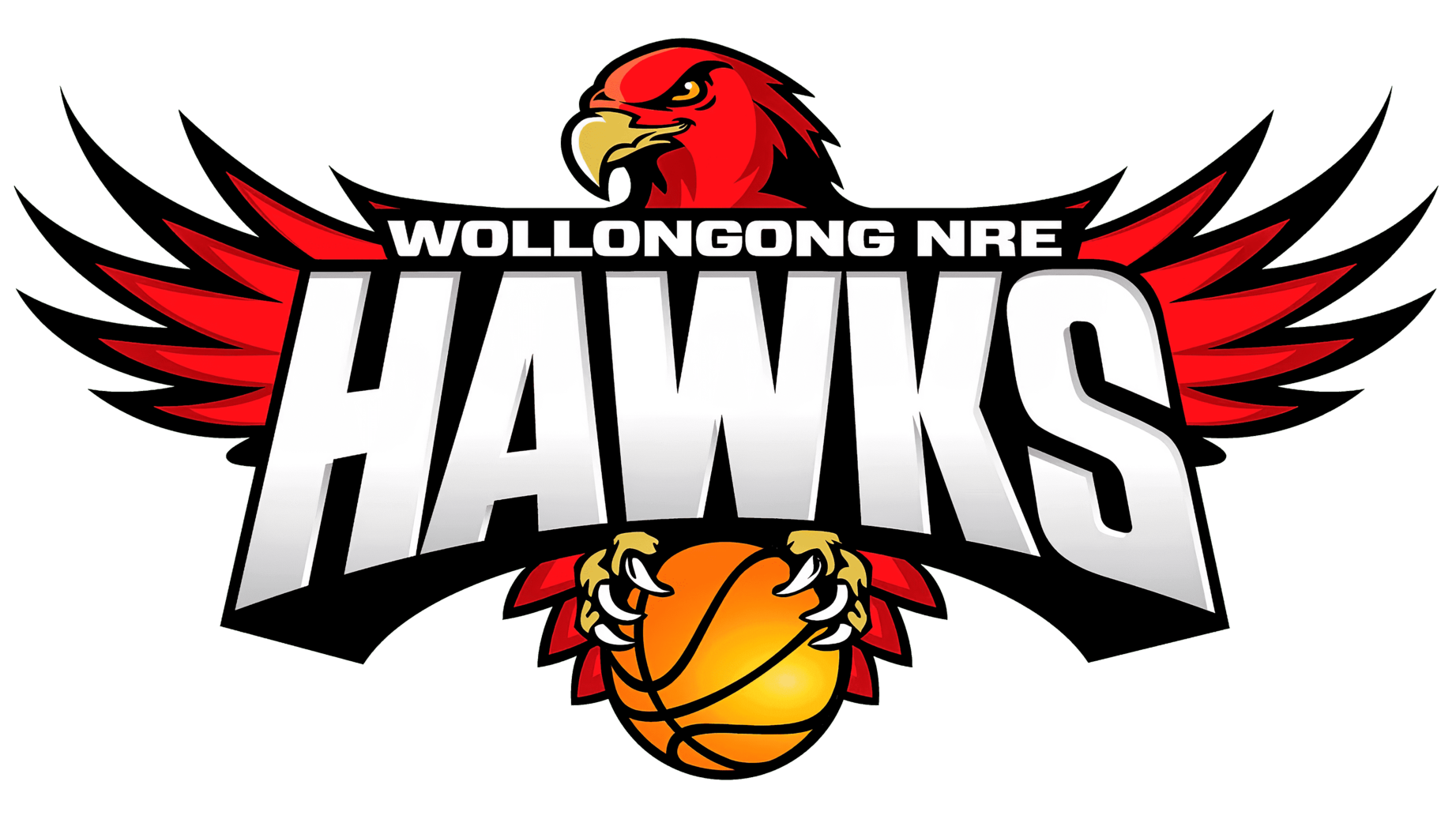 Illawarra hawks logo