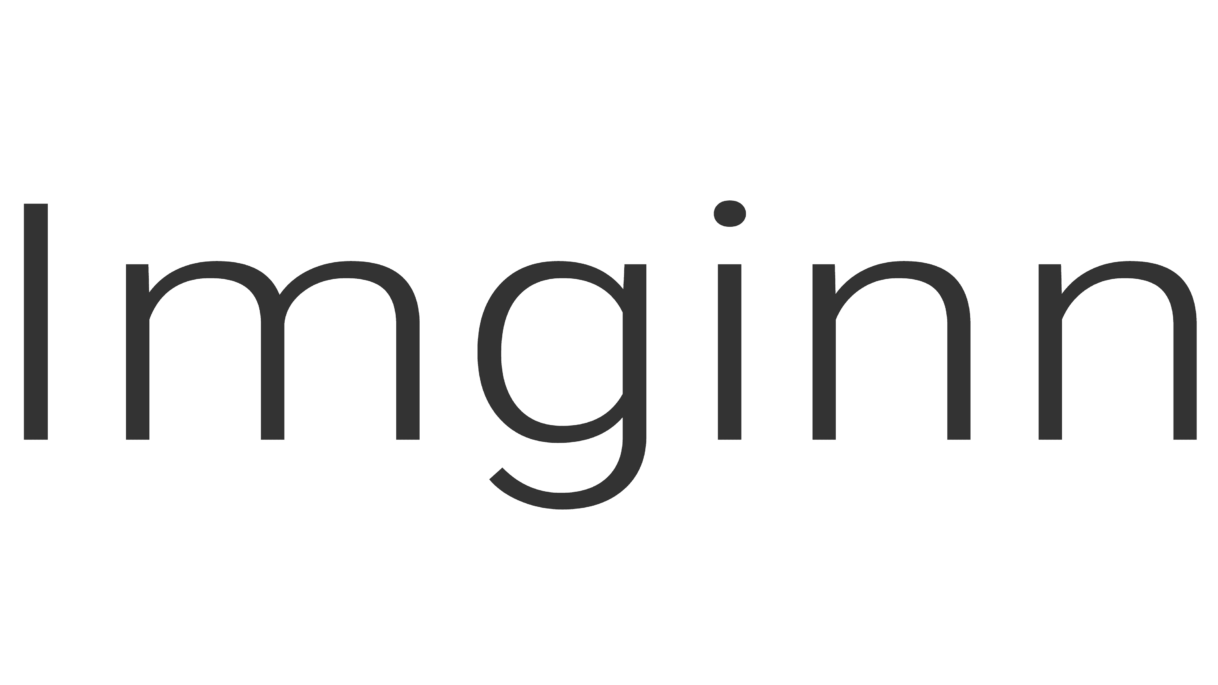 Imginn Logo