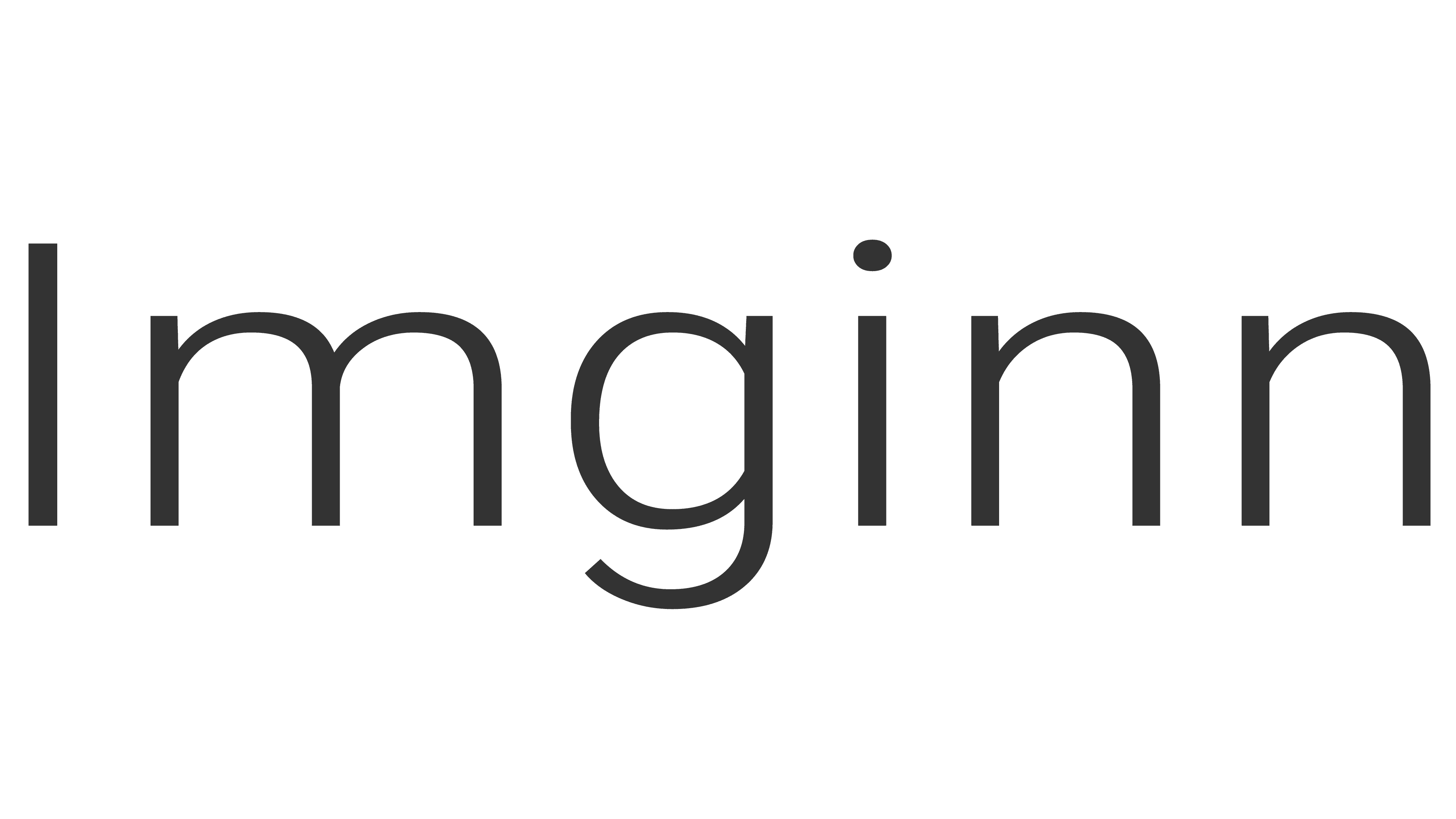 Imginn Logo