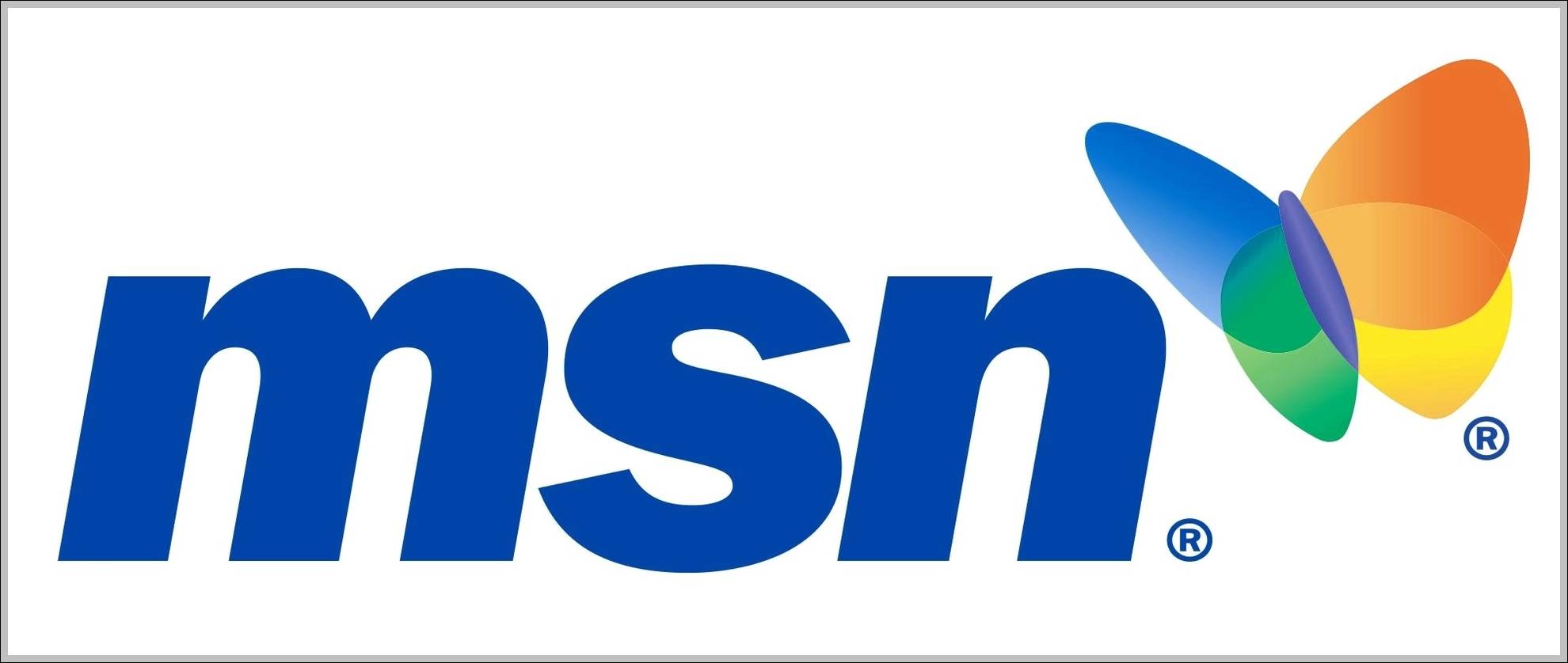 MSN logo old
