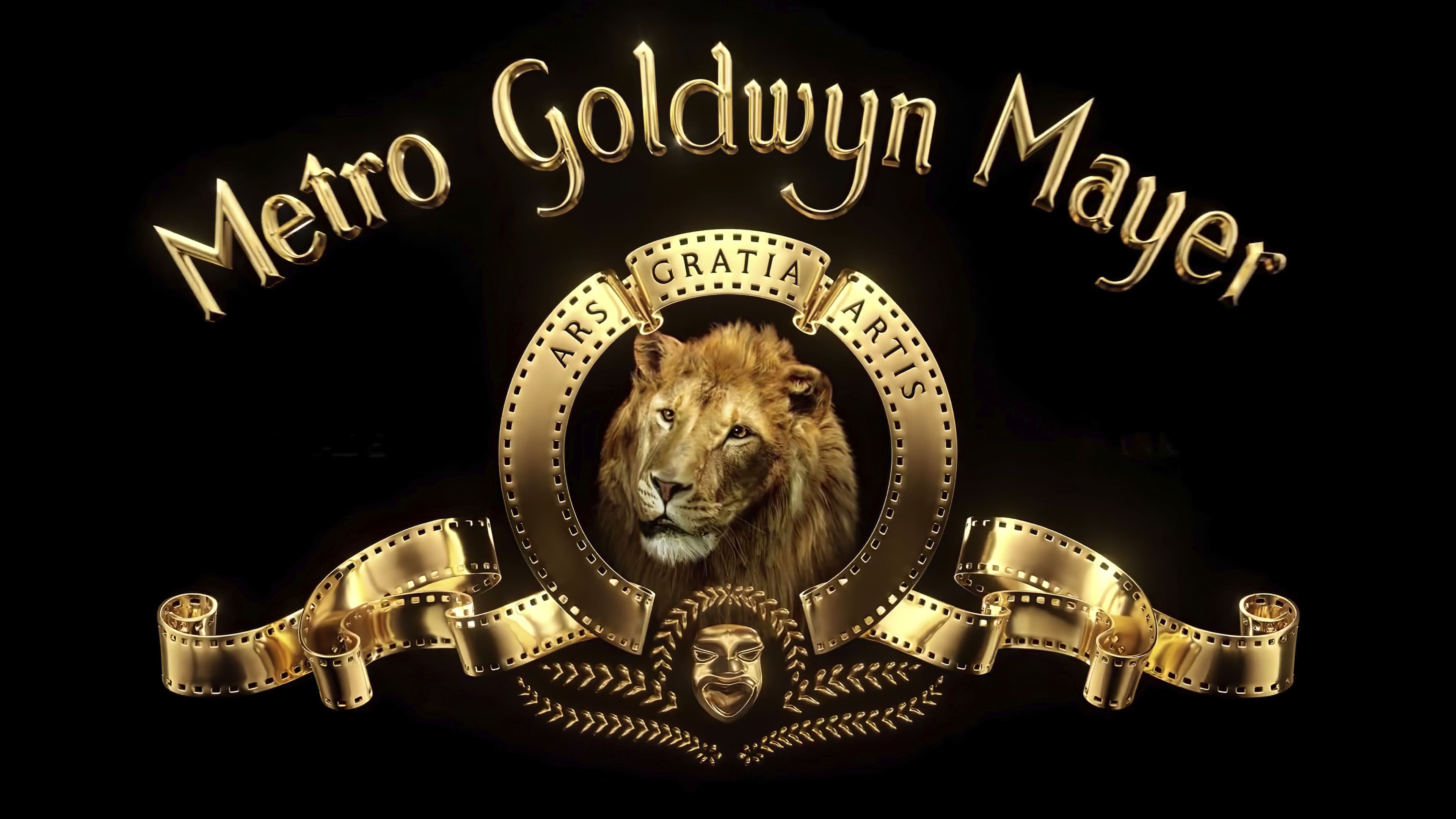 Metro Goldwyn Mayer MGM Sign
