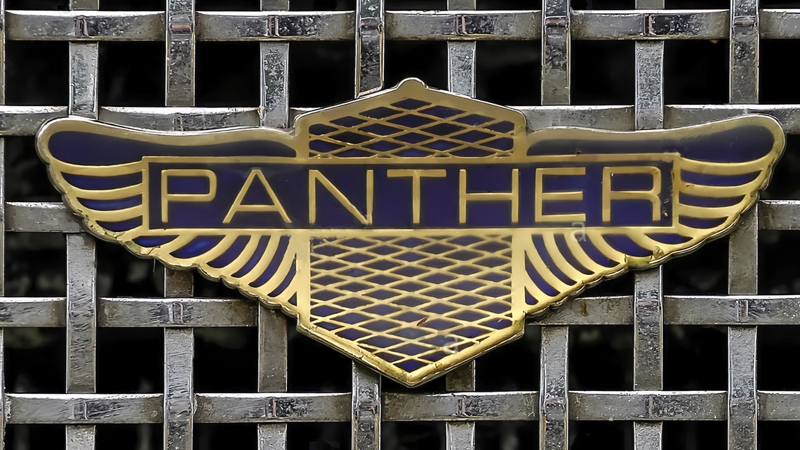 Panther sign