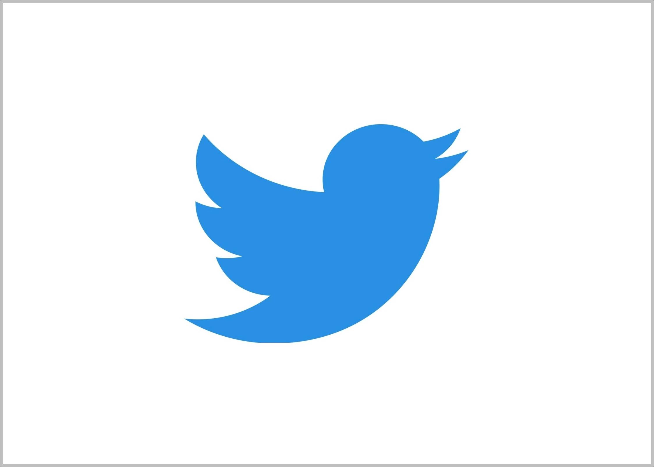 Twitter logo bird logo 2012