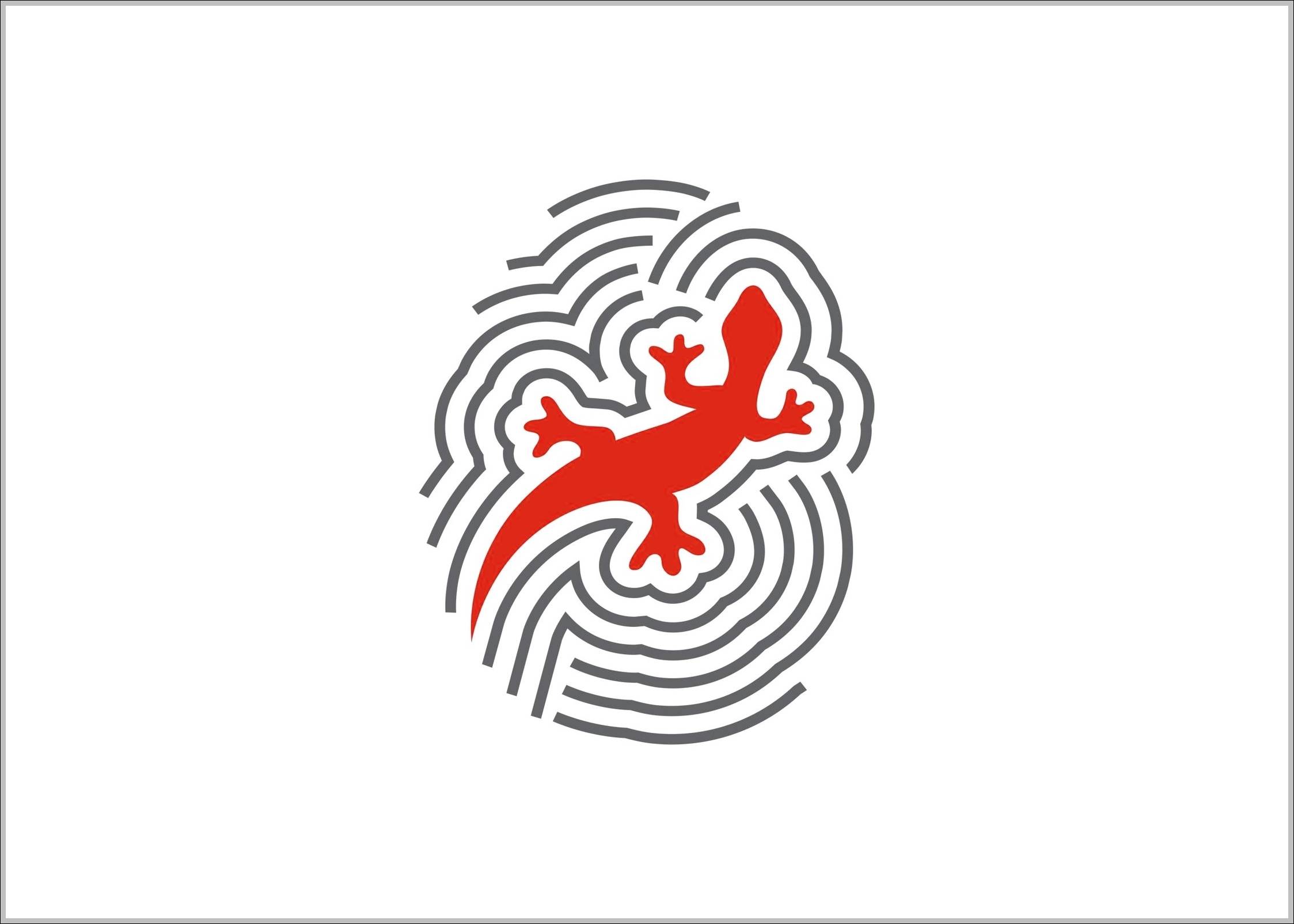 netvision logo